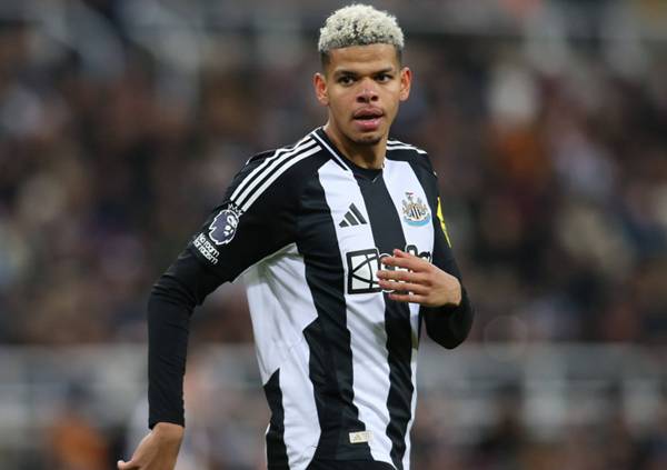 Cầu thủ William Osula