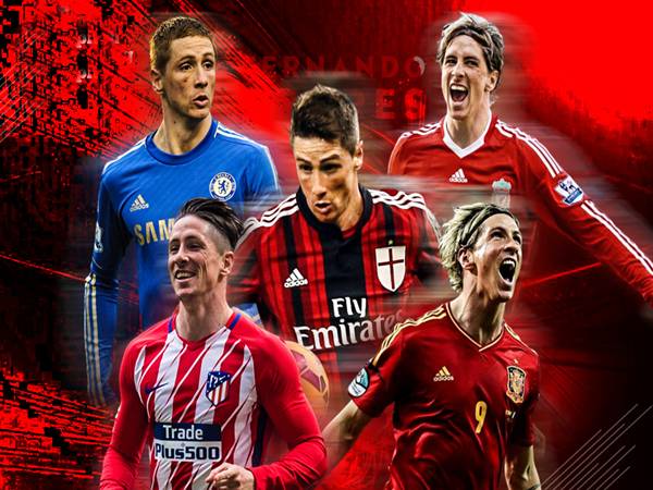 Tiểu sử cầu thủ Fernando Torres: Thành tích và di sản
