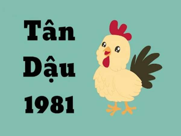 Vận trình tử vi tuổi Tân Dậu 19/12/2025 có gì đặc biệt?