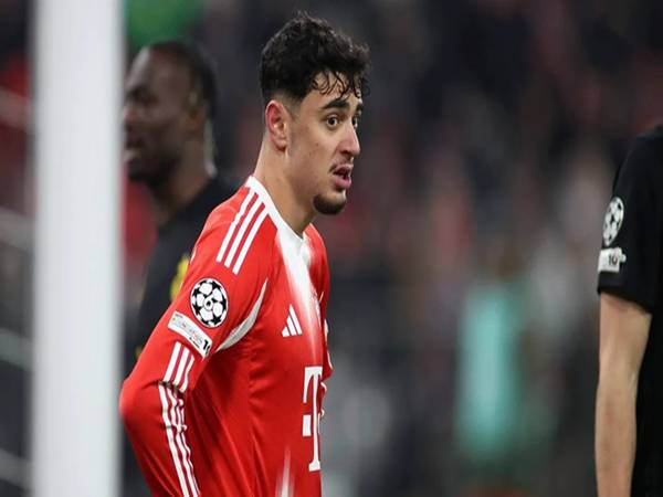 Pavlovic lời giải cho bài toán ổn định tuyến giữa Bayern